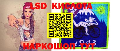 тгк Новодвинск