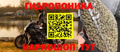 тгк Новодвинск