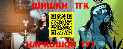 тгк Новодвинск