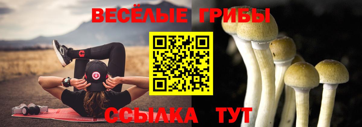 Псилоцибиновые грибы Psilocybe Пыть-Ях